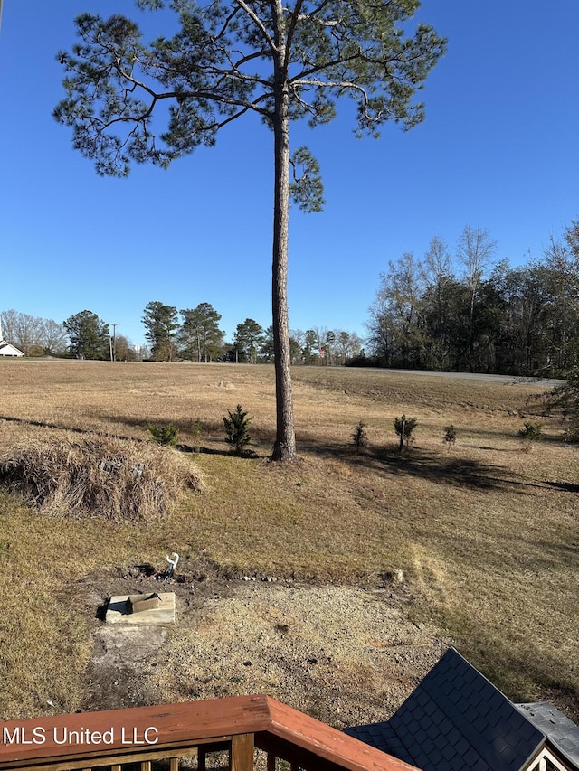 view of yard with a rural view