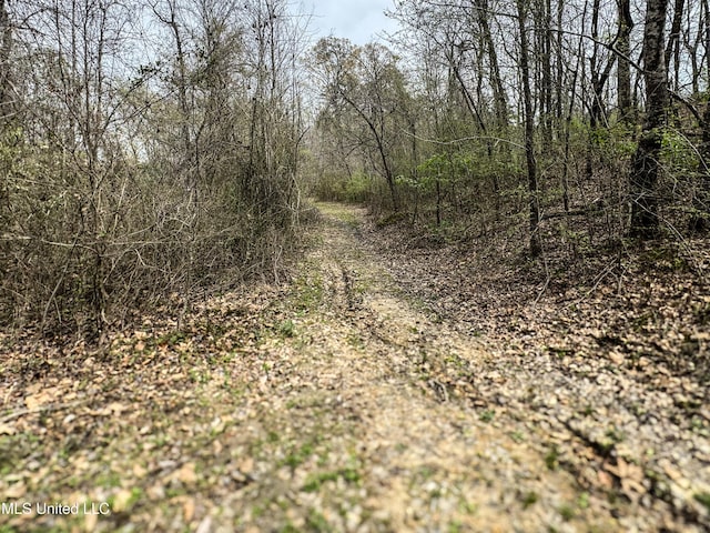 1172 Little Creek Dr, Oakland, MS 38948 - view of nature