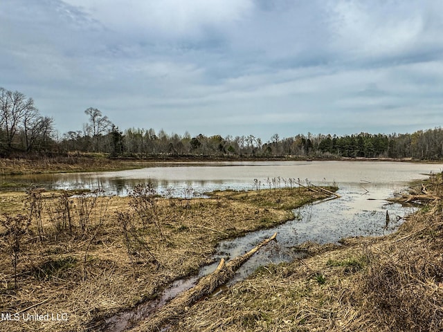 1172 Little Creek Dr, Oakland, MS 38948 - property view of water with a forest view