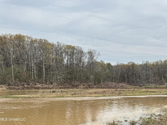 1172 Little Creek Dr, Oakland, MS 38948 - view of water feature with a wooded view
