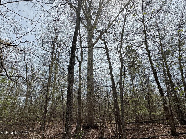 1172 Little Creek Dr, Oakland, MS 38948 - view of landscape with a forest view