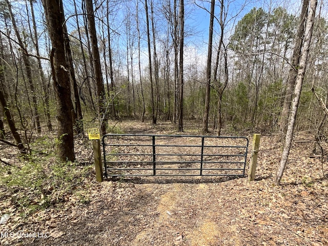 1172 Little Creek Dr, Oakland, MS 38948 - view of gate featuring a forest view