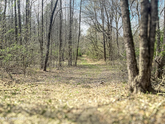 1172 Little Creek Dr, Oakland, MS 38948 - view of landscape with a view of trees