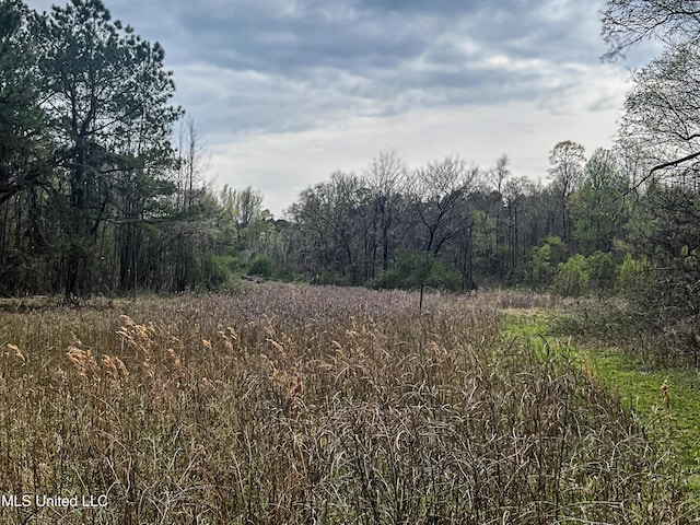 1172 Little Creek Dr, Oakland, MS 38948 - view of landscape with a wooded view