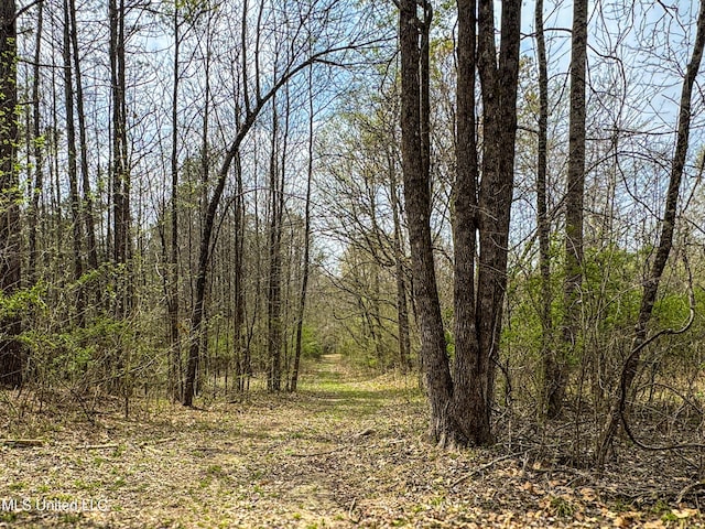 1172 Little Creek Dr, Oakland, MS 38948 - view of nature with a forest view