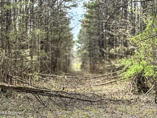 1172 Little Creek Dr, Oakland, MS 38948 - view of landscape