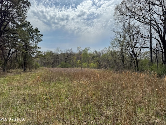 1172 Little Creek Dr, Oakland, MS 38948 - view of local wilderness with a wooded view