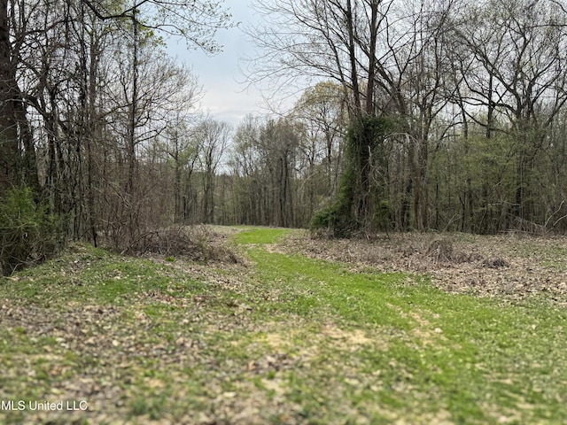 1172 Little Creek Dr, Oakland, MS 38948 - view of local wilderness with a view of trees
