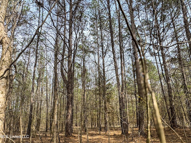 1172 Little Creek Dr, Oakland, MS 38948 - view of landscape with a wooded view