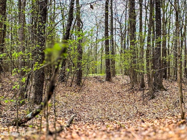 1172 Little Creek Dr, Oakland, MS 38948 - view of nature