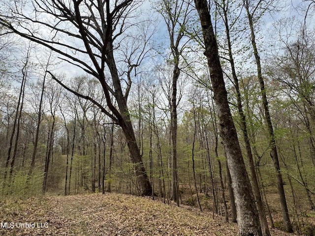 1172 Little Creek Dr, Oakland, MS 38948 - view of nature with a view of trees