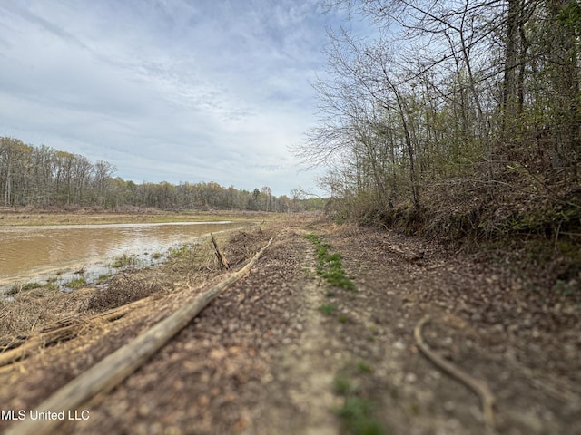 1172 Little Creek Dr, Oakland, MS 38948 - view of street with a water view and a view of trees