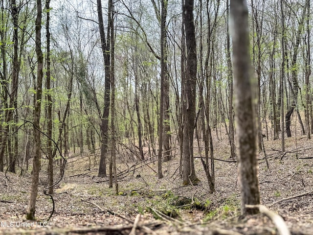 1172 Little Creek Dr, Oakland, MS 38948 - view of local wilderness featuring a view of trees