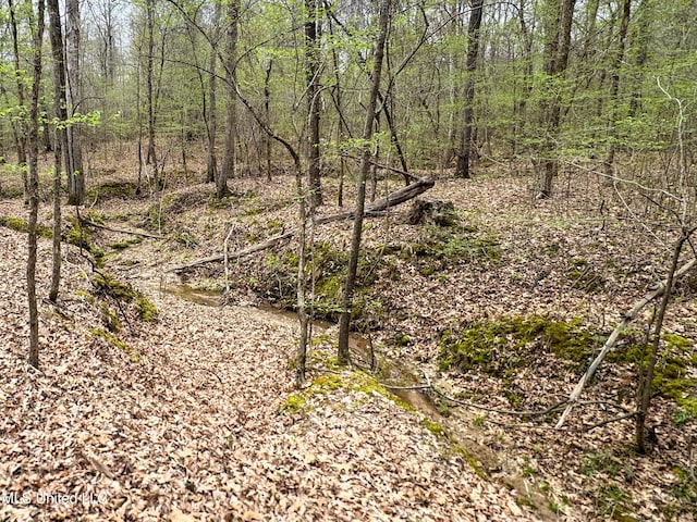 1172 Little Creek Dr, Oakland, MS 38948 - view of local wilderness featuring a forest view
