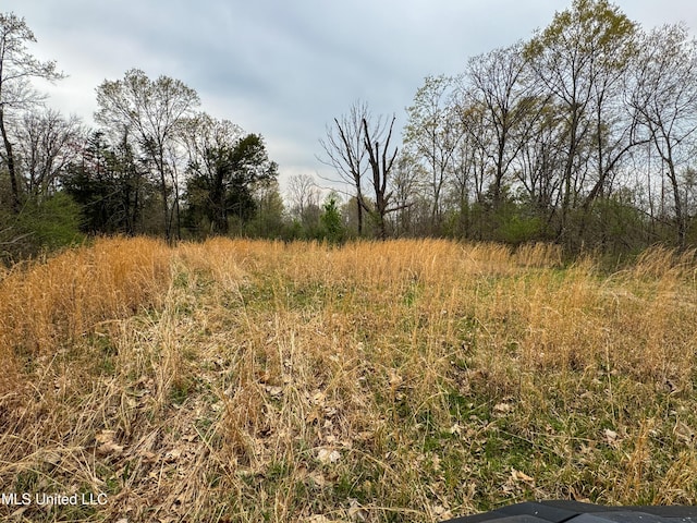 1172 Little Creek Dr, Oakland, MS 38948 - view of nature