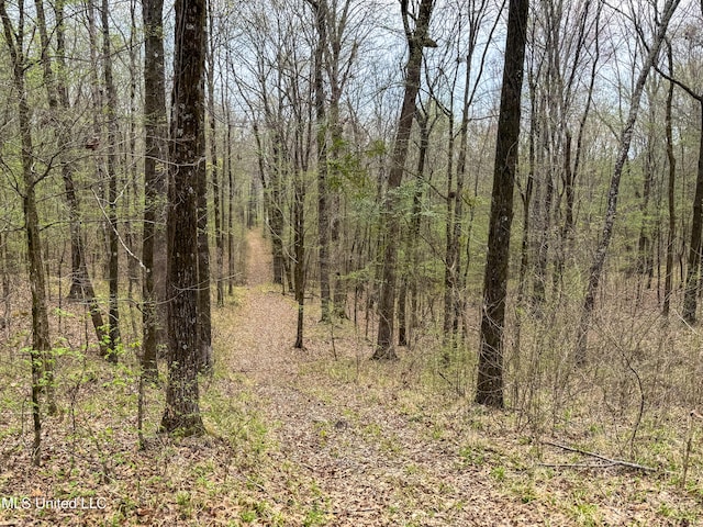 1172 Little Creek Dr, Oakland, MS 38948 - view of landscape with a view of trees