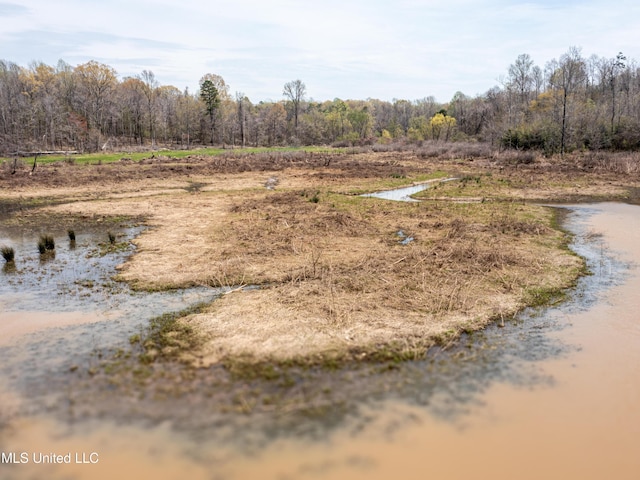 1172 Little Creek Dr, Oakland, MS 38948 - view of landscape with a water view and a view of trees