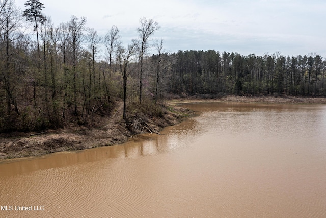 1172 Little Creek Dr, Oakland, MS 38948 - view of water feature featuring a wooded view