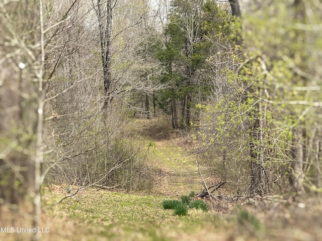 1172 Little Creek Dr, Oakland, MS 38948 - view of local wilderness