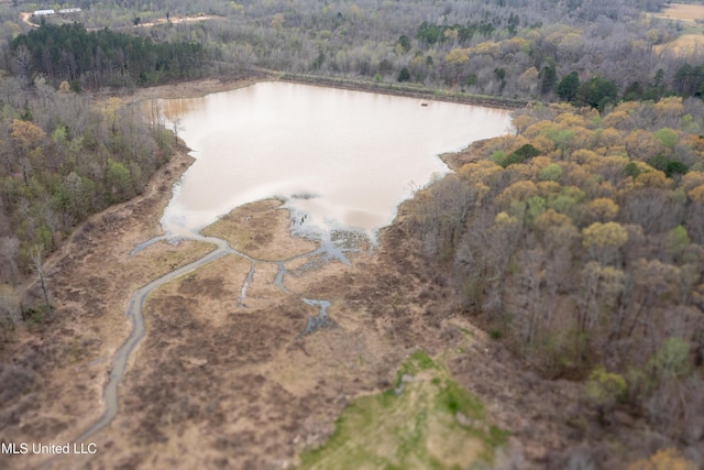 1172 Little Creek Dr, Oakland, MS 38948 - birds eye view of property featuring a water view and a wooded view