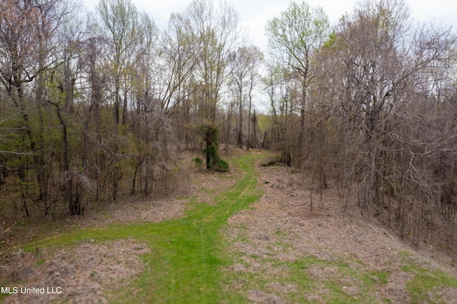 1172 Little Creek Dr, Oakland, MS 38948 - view of nature