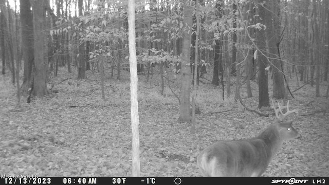 1172 Little Creek Dr, Oakland, MS 38948 - view of nature
