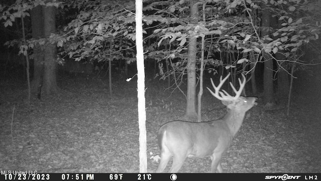 1172 Little Creek Dr, Oakland, MS 38948 - view of nature