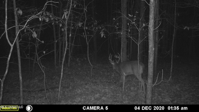 1172 Little Creek Dr, Oakland, MS 38948 - view of local wilderness