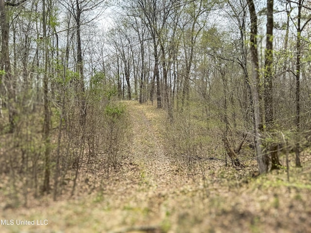 1172 Little Creek Dr, Oakland, MS 38948 - view of local wilderness