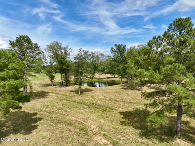 Listing photo 2 for 651 Petrified Forest Rd, Flora MS 39071