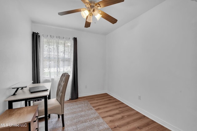 office featuring light hardwood / wood-style flooring and ceiling fan