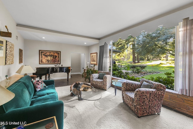 living room with carpet flooring and a wealth of natural light