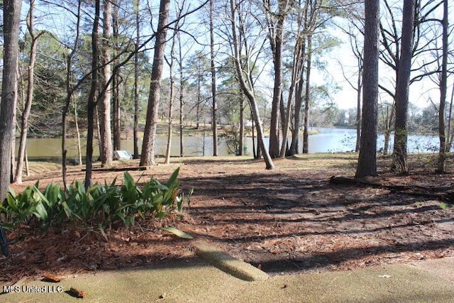 view of yard featuring a water view