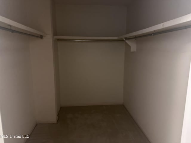 903 Westwood St, Pascagoula, MS 39567 - spacious closet with light carpet