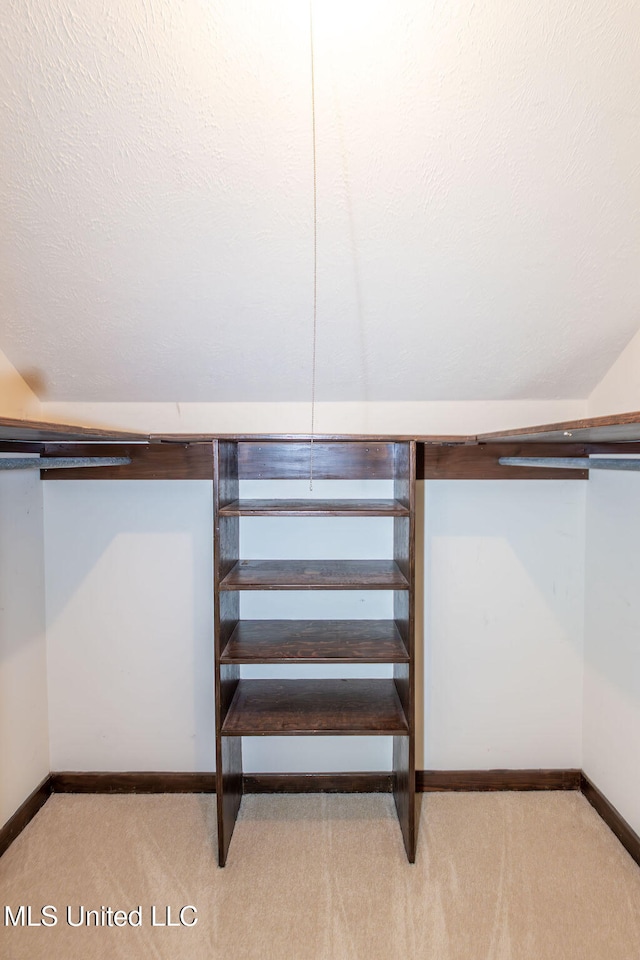 walk in closet with light carpet