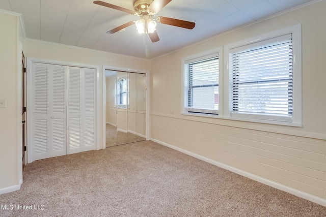 unfurnished bedroom featuring multiple closets, crown molding, carpet flooring, and ceiling fan