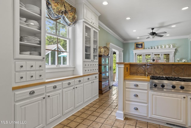 315 N St, Lexington, MS 39095 - kitchen with ornamental molding, stainless steel gas stovetop, a ceiling fan, and a healthy amount of sunlight