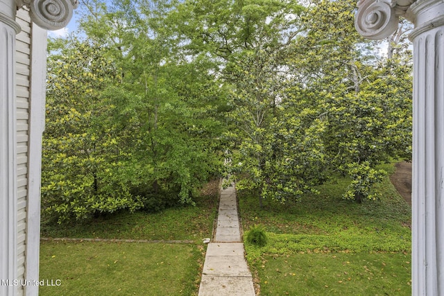 315 N St, Lexington, MS 39095 - view of yard