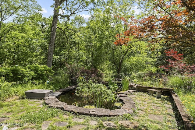 315 N St, Lexington, MS 39095 - view of nature