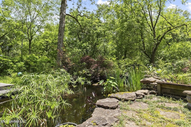 315 N St, Lexington, MS 39095 - view of landscape