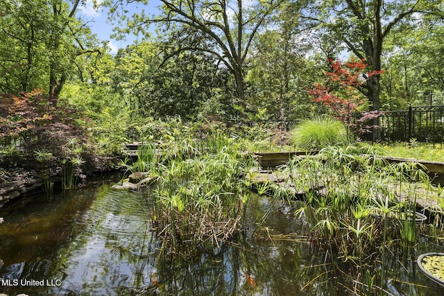 315 N St, Lexington, MS 39095 - view of local wilderness