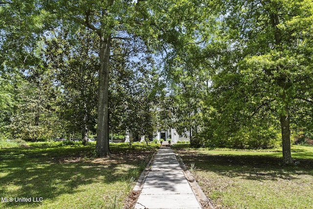 315 N St, Lexington, MS 39095 - view of community featuring a lawn