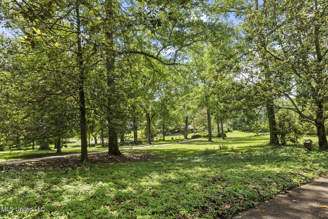 315 N St, Lexington, MS 39095 - view of yard