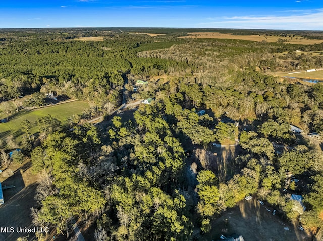 drone / aerial view