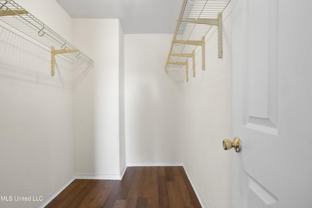 walk in closet with wood-type flooring