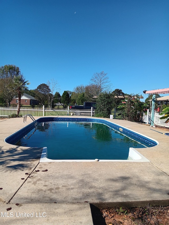 view of pool with a patio