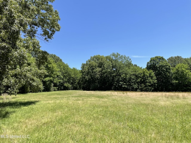 6869 Compress Rd # F, Como, MS 38619 - view of yard with a wooded view and a rural view