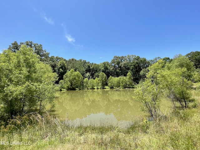 6869 Compress Rd # F, Como, MS 38619 - water view featuring a heavily wooded area