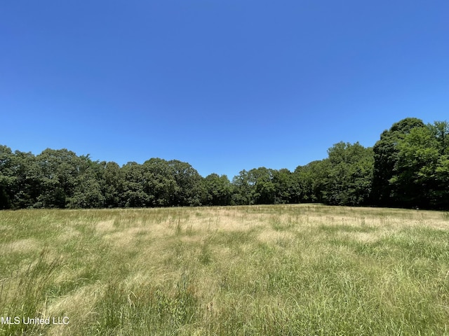 6869 Compress Rd # F, Como, MS 38619 - view of woods featuring a view of rural / pastoral area