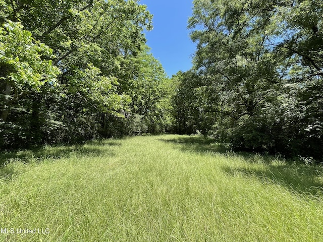 6869 Compress Rd # F, Como, MS 38619 - view of yard with a view of trees